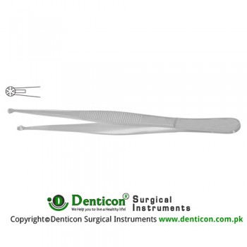 Selman Dissecting Forceps Stainless Steel, 15.5 cm - 6"